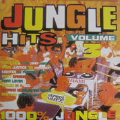 Jungle Hits Volume 3