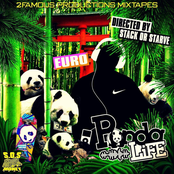 Panda Life
