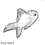Little Fish