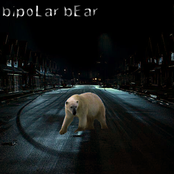 Bipolar Bear