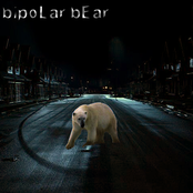 Movie by Bipolar Bear