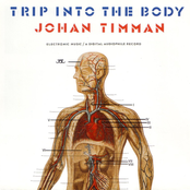 Inside The Tympanic Cavity by Johan Timman