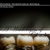 A Wilderness Of Cloades 7 by Henrik Nordvargr Björkk / Surachai