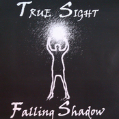 Falling Shadow