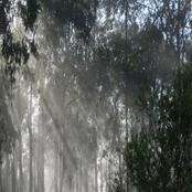 People Wake Up And Start Dreaming