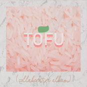 TOFU (A Collaborative Album)