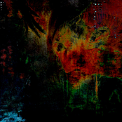 Rats in the Playroom