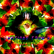 Emotions From A Beija Flor