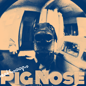 PIG NOSE