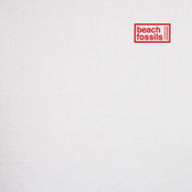 Beach Fossils: Somersault