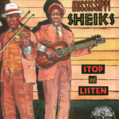 Too Long by Mississippi Sheiks