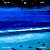 Sharks (Left Me Stranded)