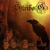 ...Za Vje?an Ponos i ?ast!