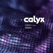 Calyx: Cobra / Riddim