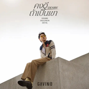 คงดีถ้าเป็นเขา (Desire)