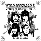 Running Out by The Tremeloes