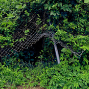 Life Runs Like a Faucet