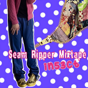 Seam Ripper Mixtape