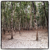 BNB Take Over Demos 2013