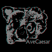 avecaesar