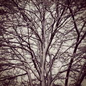 On a Quiet Winter Night