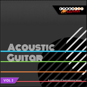 Acoustic Guitar Vol. 2