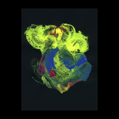 The Face Of The Deep