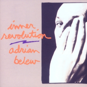 This Is What I Believe In by Adrian Belew