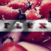 Flux