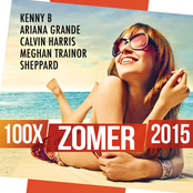 100x Zomer (2015)