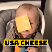 USA CHEESE