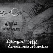 Liturgia para Mil Emociones Muertas (Split)
