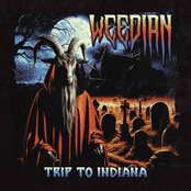 Trip To Indiana