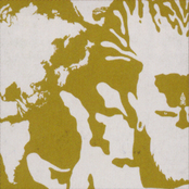 Prince Bronco on the Branco