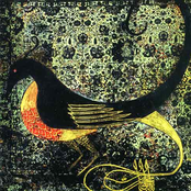 Mugam Sayagi (Kronos Quartet)