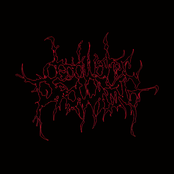 Slap Her Ass and Ride the Wave In