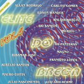 Elite do Brega, Vol 4