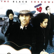 Never Let Me Go by The Black Sorrows