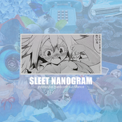Sleet Nanogram