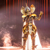 The Masked Singer: Ridder
