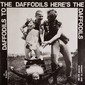 Daffodils to the Daffodils Here's the Daffodils