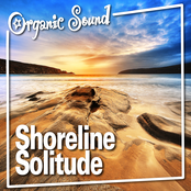 Shoreline Solitude (Nature Sound)