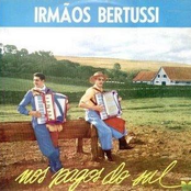 irmãos bertussi