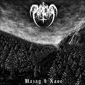 Назад в хаос