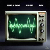 Bass Down Low - Single