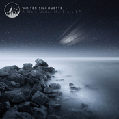 A Walk Under the Stars