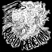 Rabid Reaction 2013 Demo