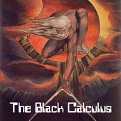 The Black Calculus