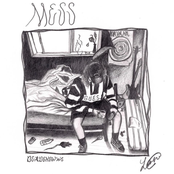Mess