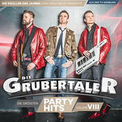Die größten Partyhits - Vol. VIII